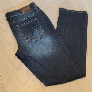 Maurices straight leg jeans, size 9/10